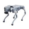 quadruped robot,Robot Dog,Unitree Go2