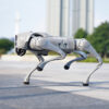quadruped robot,Robot Dog,Unitree Go2