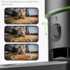 Automatic Cat Feeder Camera Pet Smart Cat Food Kibble Dispenser 2.4G/5GWiFi Tuya APP Control Auto Feeder For Cat Dog Accessories