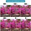 13cm, 16cm, 18cm Floating Solar Fountain Pumps - Perfect for Bird Baths, Garden Outdoor Water Pool and Pond Decoration