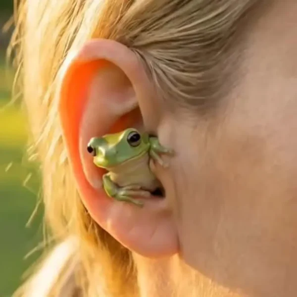 New Animation Peripheral Aovee Frog Earbuds Creative Novel Personalized Practical Portable Frog Shaped Earplugs For Adults Gifts