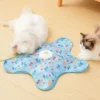 Cat Toys Interactive Hide and Seek Cat Toy with Mouse Squeaky Motion Activated Moving Concealed Feathers Kitten Teaser Toy